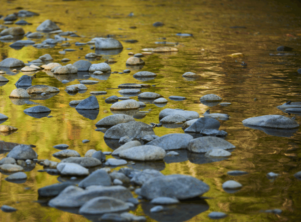 Writer's Retreat - Gail Anderson-Dargatz